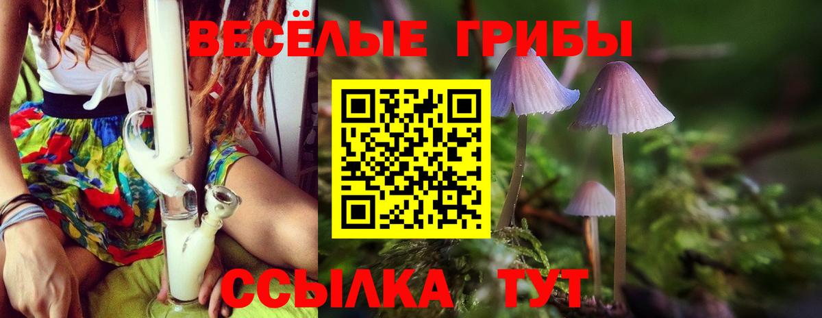 где продают наркотики  Галлюциногенные грибы Magic Shrooms  Псилоцибиновые грибы Psilocybine cubensis  Вход с VPN  Ухта 