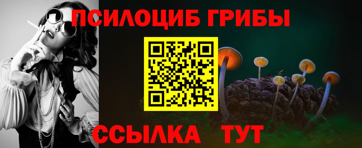 Галлюциногенные грибы GOLDEN TEACHER Ухта